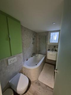 Lakeside house rental - maison bord de lac - Villeneuve d'Ascq - 6