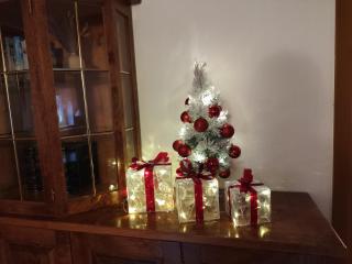 Haus Emma, im Herzen der Oberlausitz - 8