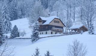 Landhaus Gschwandtner - 7