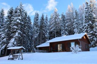 Langhans Hütte 1 - Kamp - 9