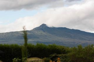 Wooden Cottage for 5 Near Lake Naivasha, Elwai Visitor Centre - 4