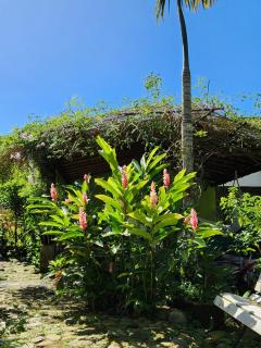 Casa Maravilha São Roque - 1