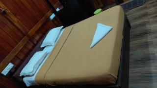 Jackroot Athirapilly Villa's - 3