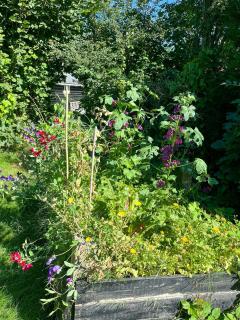 Gorgeous Summer House Near Liseleje Beach - 9