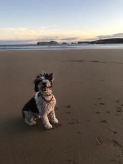 EL RINCÓN DE DENVER - 6