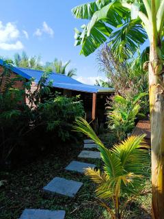 Le Paradis des Colibris Gîte créole avec piscine table dhôtes et nature à Anse Bertrand - Anse-Bertrand - 6