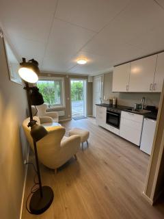 Modern studio apartment with wood-fired sauna - 9