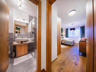 Modern apartment in Neukirchen - 1