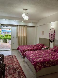 قريه وندرلاند - 1