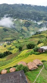 Mu Cang Chai Big view homestay, tour & vegetarian - 0