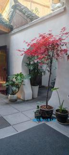 Ruolan Courtyard - 8