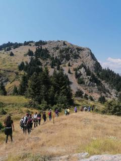 Tsigaridas Mountain Home - 7