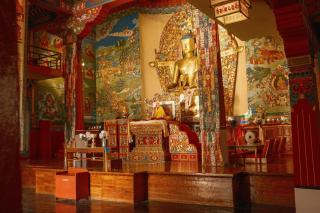 Shepherds Of Dharamshala - 8