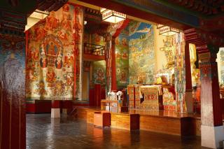 Shepherds Of Dharamshala - 7