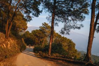Shepherds Of Dharamshala - Dharamshala - 9