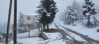 Tsigaridas Mountain Home - 6