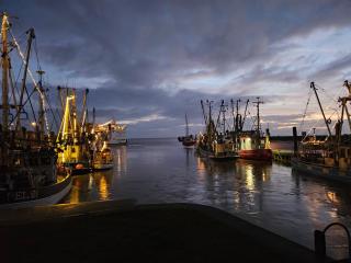 Ferienwohnung Leuchtturmblick - 8