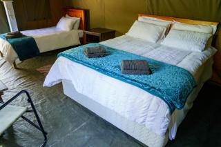 The Lineage Lodge - 1