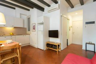 Tranquil Cozy with balcony Plaça Catalunya. RI. - 3