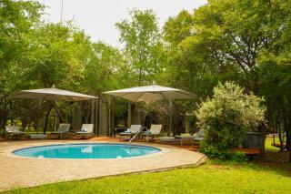 Thaba Lodge, Black Rhino, Pilanesberg - 4