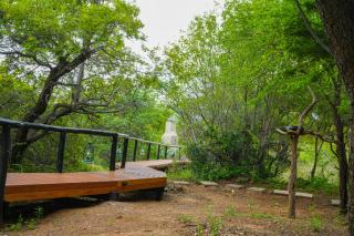 Thaba Lodge, Black Rhino, Pilanesberg - 2