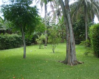 Sítio na praia da Feiticeira - Ilhabela - 3