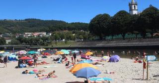 Casa das Abelhas - 8