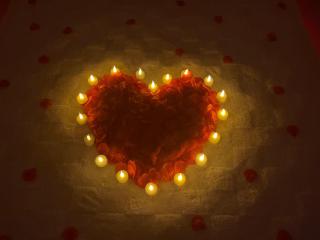 Casa das Abelhas - 5