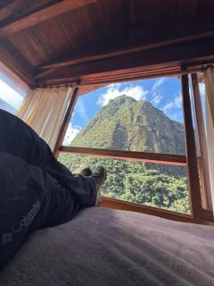 Tree House Lodge - 0