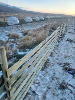 Aurora Igloo North - 9