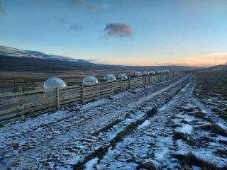 Aurora Igloo North - 7