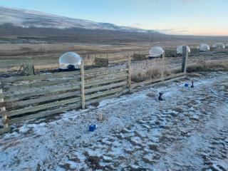 Aurora Igloo North - 5