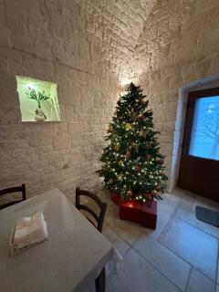 B&B Pietra Rosa - Alberobello - 0