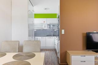 Apartment in a quiet part of Prague with a kitchen - 7