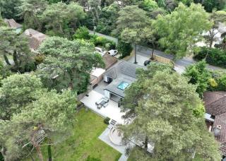 Kiwi Pines forest retreat! - 6