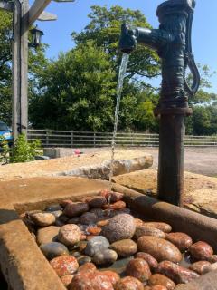 Mill House Farm Pods - Lapwing Lodge - 6