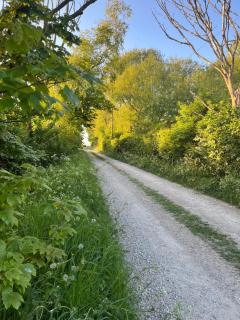 Mill House Farm Pods - Lapwing Lodge - 4
