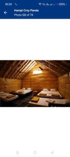 Hampi Crzy Panda - 9