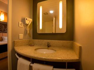 Ibis Guaratingueta Aparecida - Circuito da Fé - 8