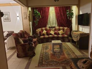 شقه مفروشه للايجار الشهري بمدينه نصر - 1