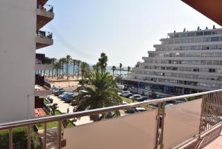 Rnet - Roses 5 - Roses - 6