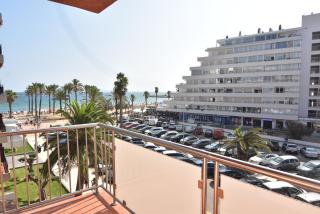 Rnet - Roses 5 - Roses - 9