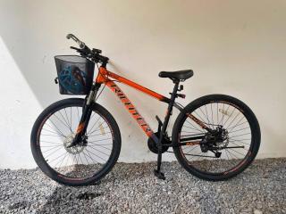 Coconut Palm Near Beach Private Pool - 6