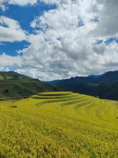 Homestay Chù Chỏ - 4