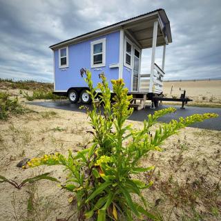Periwinkle Cottage - 2
