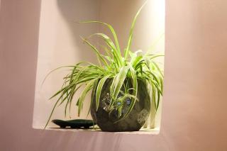 Casa Cesira, antica dimora con cucina professionale - Marea Stays Collection - 5