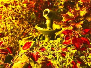 Finca Paradise en Mesitas piscina diversión y naturaleza a solo 2 horas de Bogotá - 3