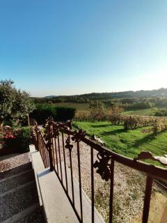 Agriturismo Casa del Massaro - 1