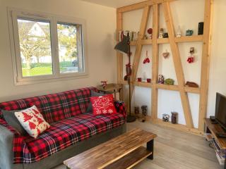 Gites au jardin - Morsbronn-les-Bains - 8