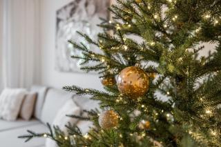 Aurora Avenue by R&K Apartments - 8